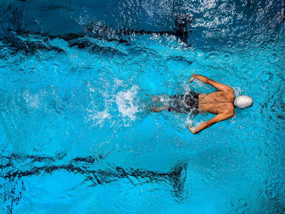 nadar deportes Universidad de Harvard ejercicios Harvard