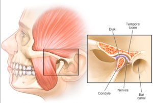 articulación temporo-mandibular